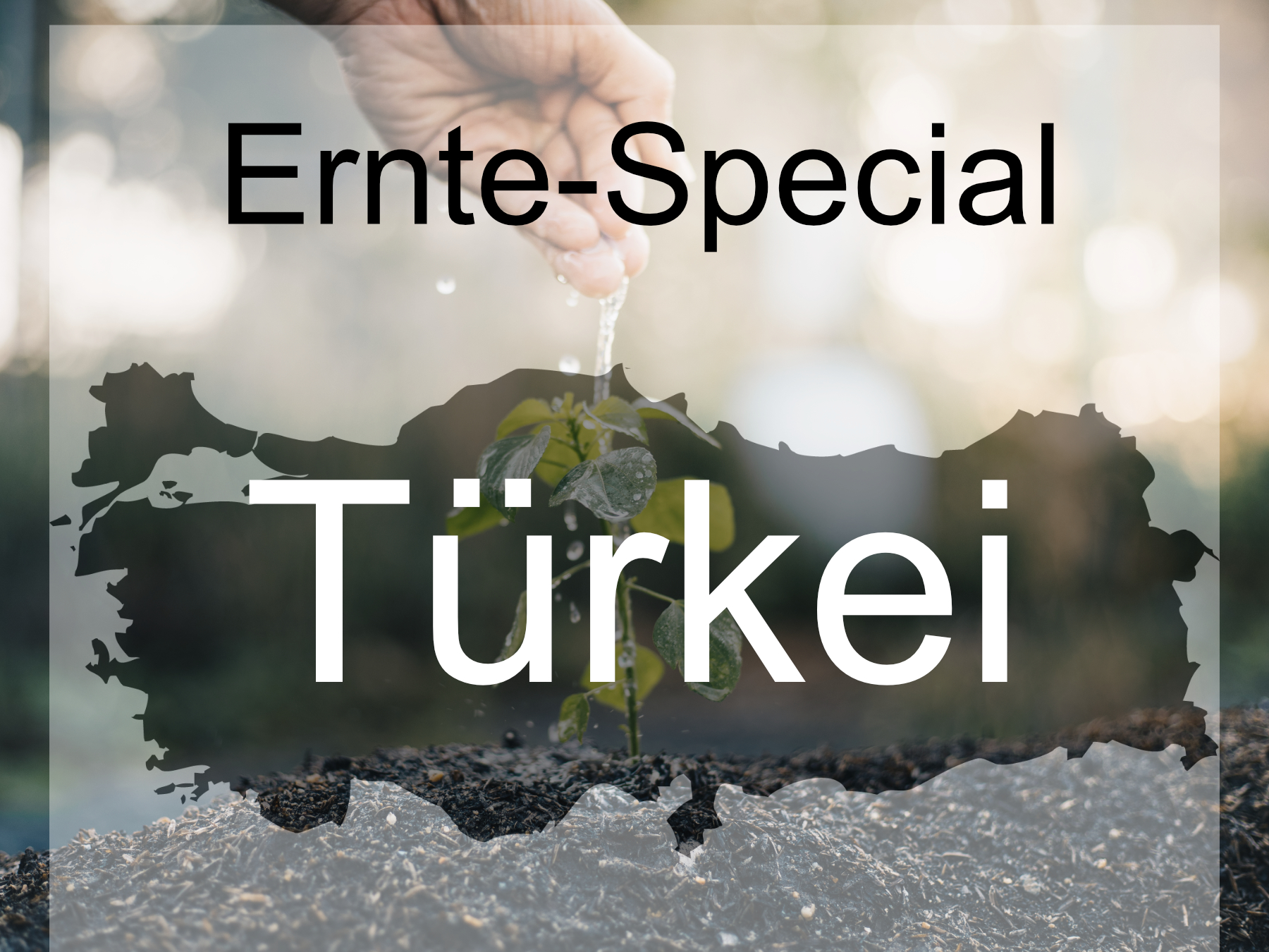 Blog-Bild-Ernte-Special-Turkei